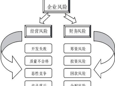 新晨科技財務風險分析及應對策略