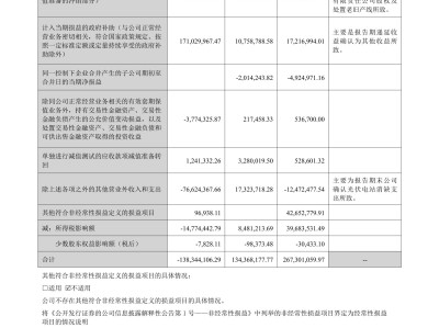 深度解析愛康科技財務(wù)風險報告表，揭示企業(yè)穩(wěn)健發(fā)展背后的挑戰(zhàn)與機遇