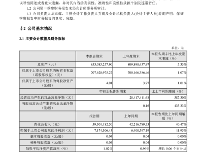 金亞科技的風(fēng)險(xiǎn)控制水平，剖析與展望