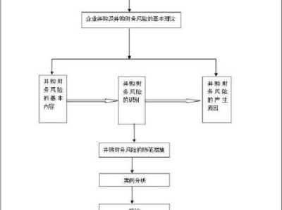 并購金融科技企業(yè)的風(fēng)險解析與應(yīng)對策略