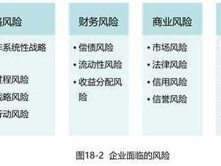 科技企業(yè)風險管理，與有效應(yīng)對之道