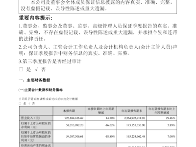 長信科技戰(zhàn)略風(fēng)險分析，挑戰(zhàn)與機(jī)遇并存