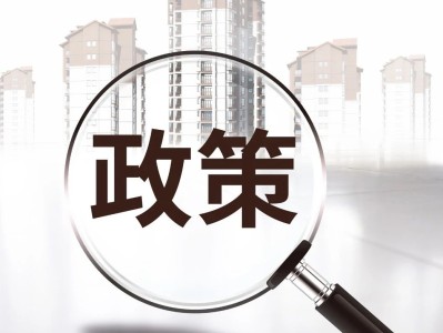 科技政策風(fēng)險探析，挑戰(zhàn)與應(yīng)對策略