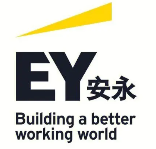 安永科技風(fēng)險咨詢與審計，為企業(yè)保駕護(hù)航的智能雙翼,第1張